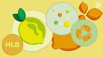 Citrus Greening Disease - How we help farmers handle HLB