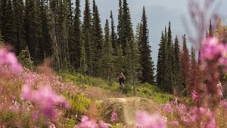 Ben Haggar / Local Flavours - Northern BC ep. 2