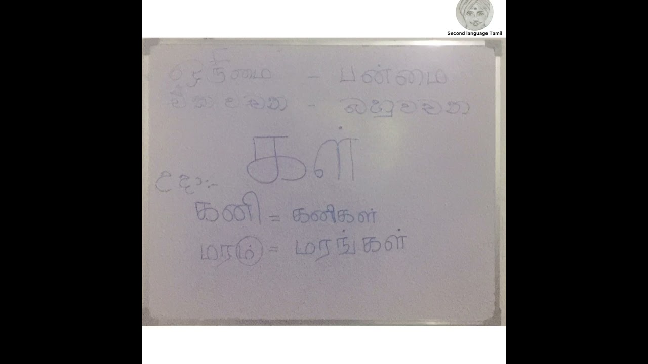 second language tamil grade 6 lesson 8 activities 91011