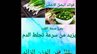 فوائد البصل الاخضر