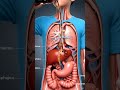 health