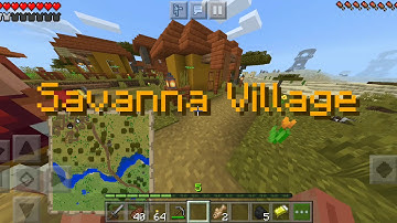 wandering trader part 2