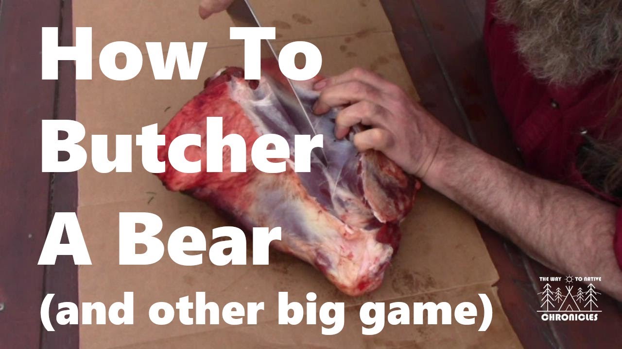 How to Butcher Bear Meat
