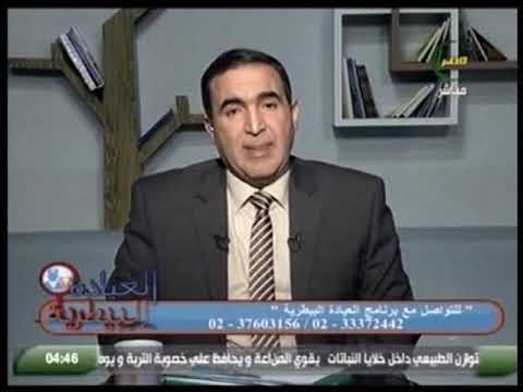 العيادة البيطرية الحمى القلاعية الأسباب والعلاج 8 1 2019