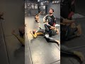 Hip thrust full guard escape #bjj #bjjnogi #jiujitsutips #10thplanet #10thplanetjiujitsu #jiujitsu
