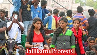 Jallikattu Protests 2017 | Part_1 | Students Movement | Marina Beach |