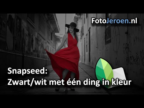 Video: Hoe Om 'n Kleurfoto In Swart En Wit Te Omskep