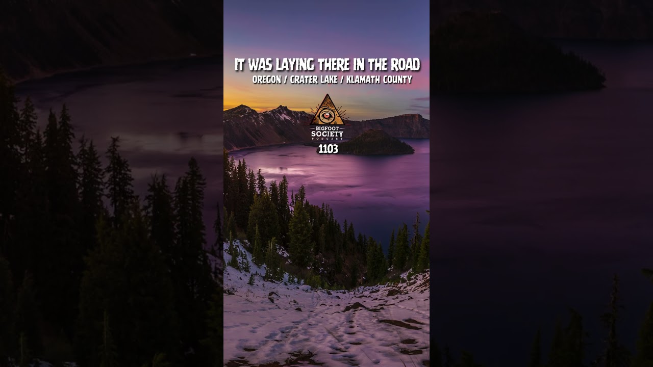 A family driving near Crater Lake stopped for something lying in the road… then realized it was a