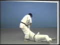 Kodokan Tewaza Throws