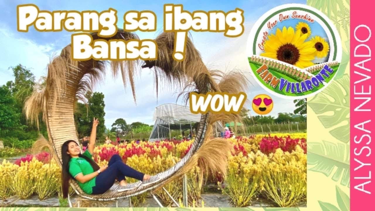 FARM VILLARONTE, SUNFLOWER FARM in NUEVA ECIJA 😍 Alyssa Nevado YouTube