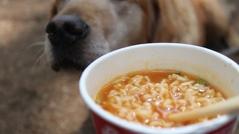 자바스크립트 JavaScript 강좌 5 객체Object의 생성과 method 추가