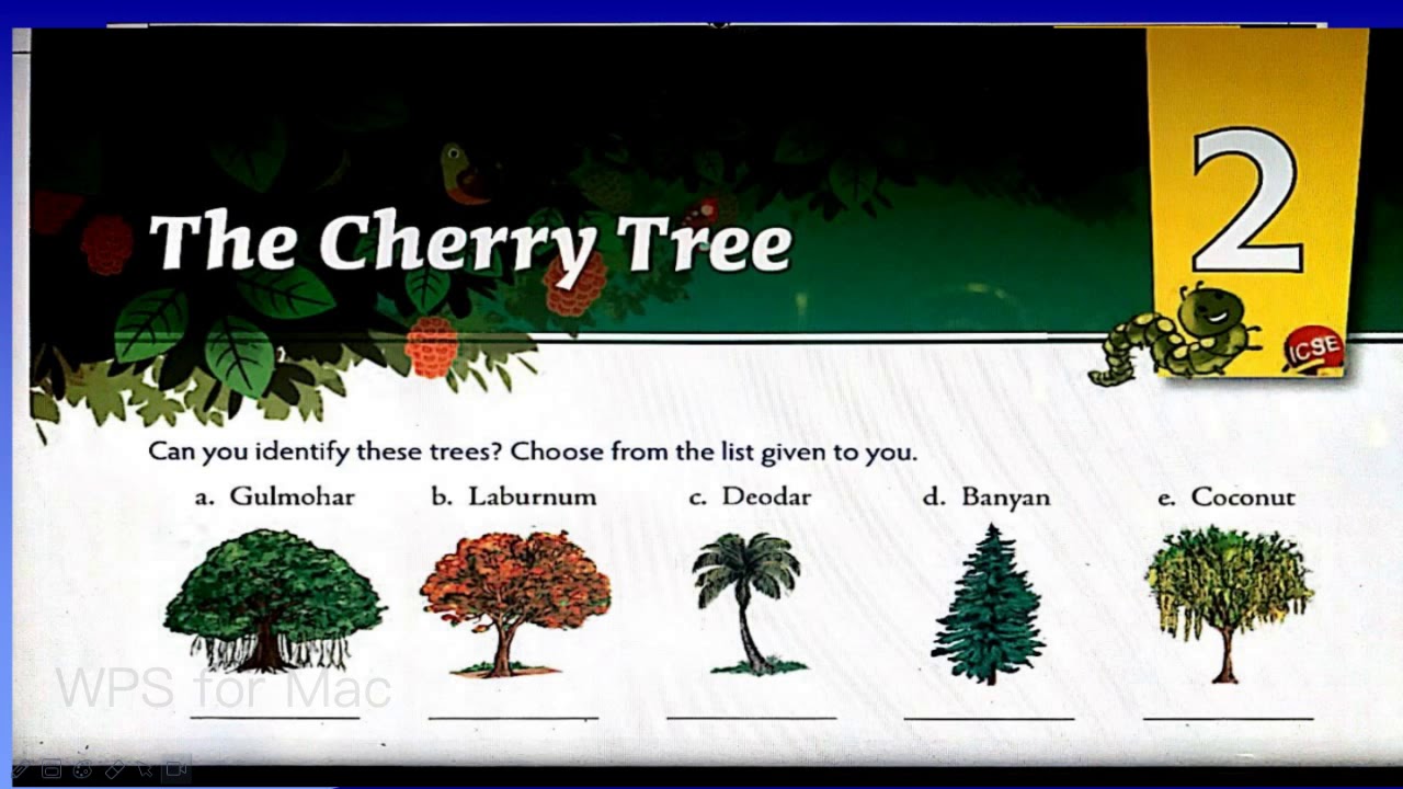 Class 6, English Lietrature, Chapter 2 The Cherry Tree by Diksha ...