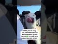 Every bit of love,share, every donation counts toward giving him a chance at a pain, link in bio  😭🙏