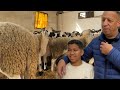 رسالة من فريد المزابي إلى كل من يبحث عن كبش عيد الأضحى 2026 المغرب الجزائر