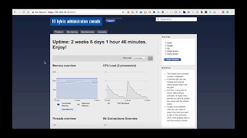 SAP Hybris MasterClass - Cache Review & Monitoring