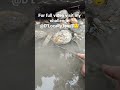 visit my channel for full video..........    @D Local Lenss😌