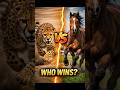 “Can a Horse Beat a Cheetah in a Race? 😳🐎🐆”