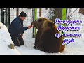 У папы всегда есть для меня вкусняшка🐻😋