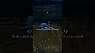 Ar-Rahman | Bellissima Recitazione(سبحان الله، والحمد لله، ولا إله إلا الله، والله أكبر)