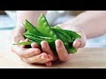 Snow Peas (the Fastest, Kid-Friendly Veggie)