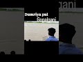 dumaria pul