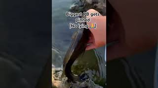 Pls sub God first #shorts