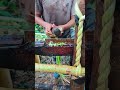 Why This Traditional Banana Stem Process is So Satisfying to Watch 🌿