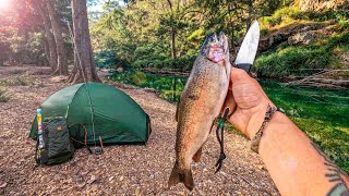 Solo Camping & Mountain Fly Fishing (Trout Catch & Cook)