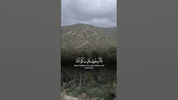 سورة آل عمران #اكسبلور #القرآن_الكريم #القرآن 💚