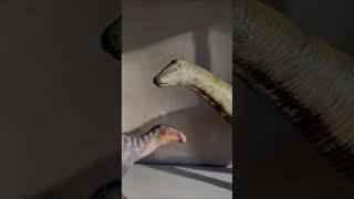 PNSO VS NANMU🔥 #dinosaur #dinosaurs #pnso #nanmu #collector #collection PNSO VS NANMU🔥 #dinosaur #dinosaurs #pnso #nanmu #collector #collection