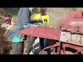 THRESHING WHITE BEANS #farmer