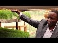 Cool Farming: Growing Plants in Africa without Soil Cool Farming: Growing Plants in Africa without Soil