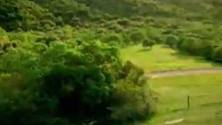 Jvm K-Fee Weniger Koffein