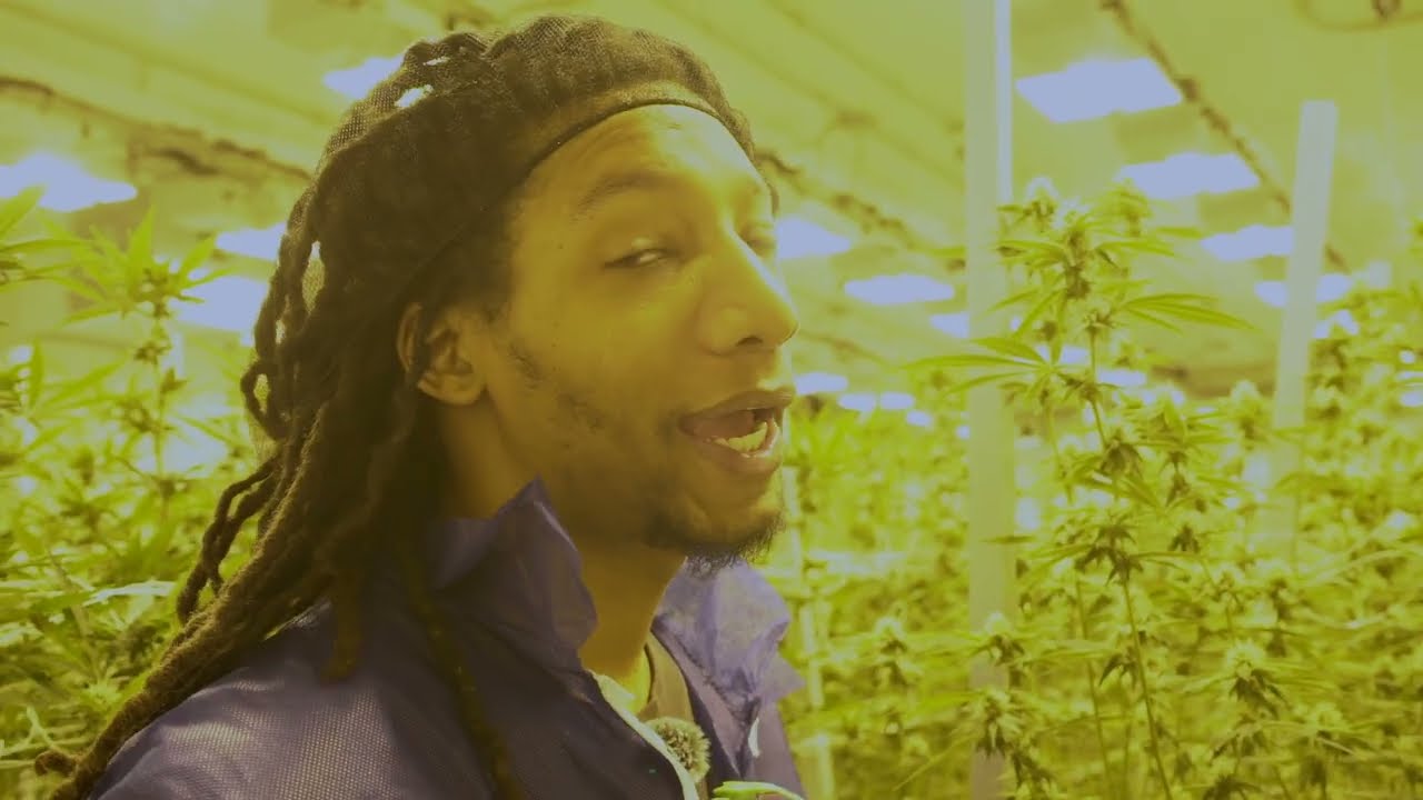 Tours With $Lim: Special Blend Gardens