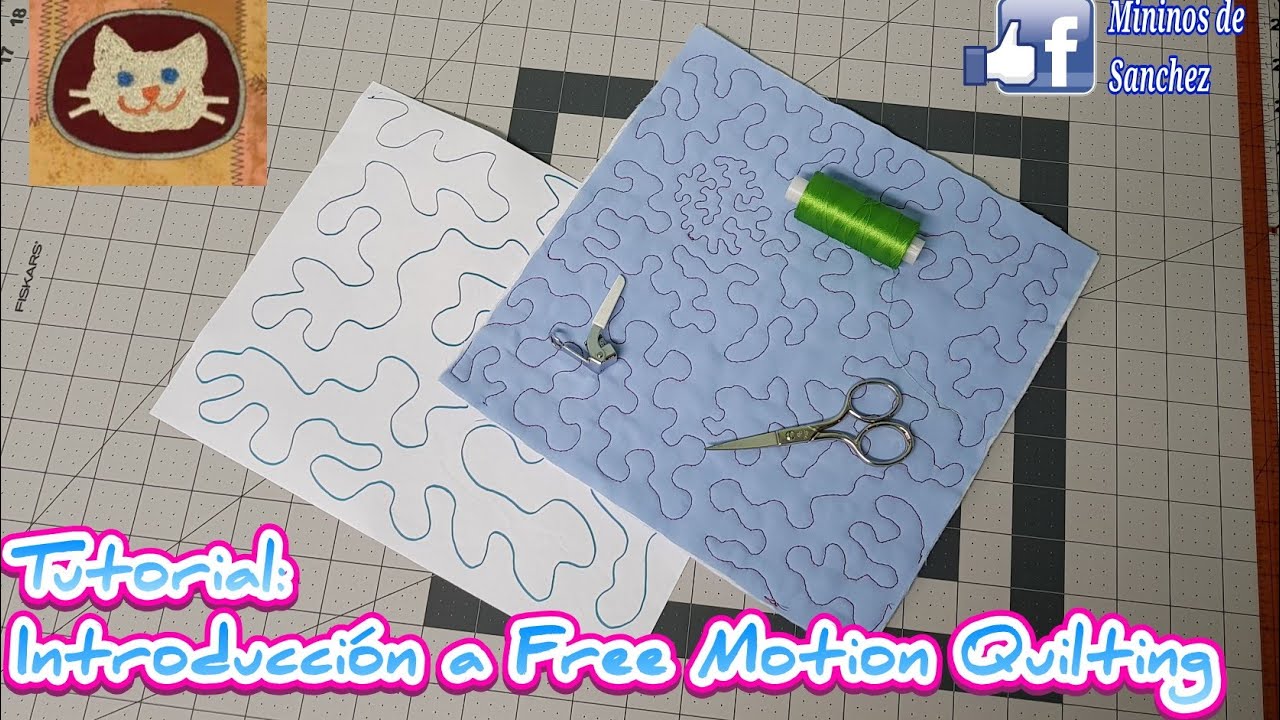 Acolchado en Maquina Casera para Principiantes, Introduccion a FMQ