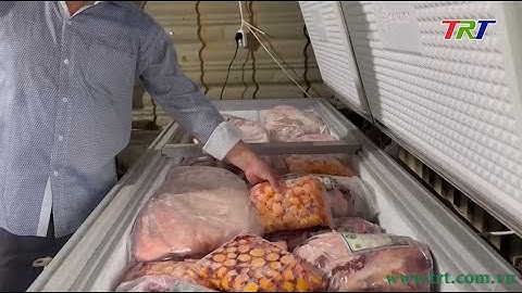 Bảo hiểm đối với hàng hóa đông lạnh năm 2024