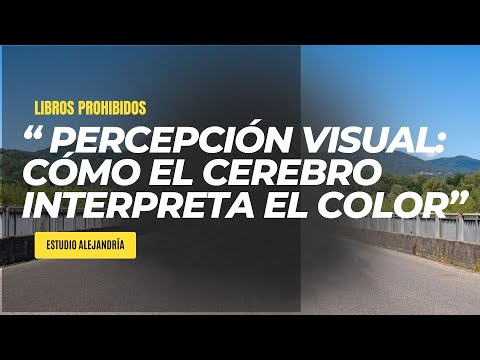 'Todo sobre la