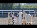 Ardnehue Black Magic, Top class connemara Gelding
