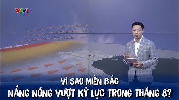 Vì sao miền Bắc nắng nóng vượt kỷ lục trong tháng 8? | VTVWDB