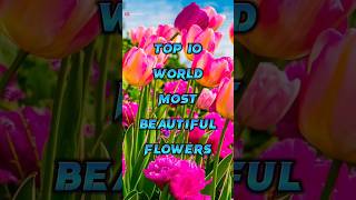 Top 10 World Most Beautiful Flowers | Tech Playerz