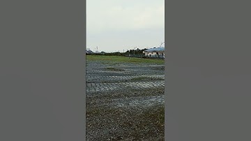 Anh công nhân cây xanh chăm chỉ cắt cỏ