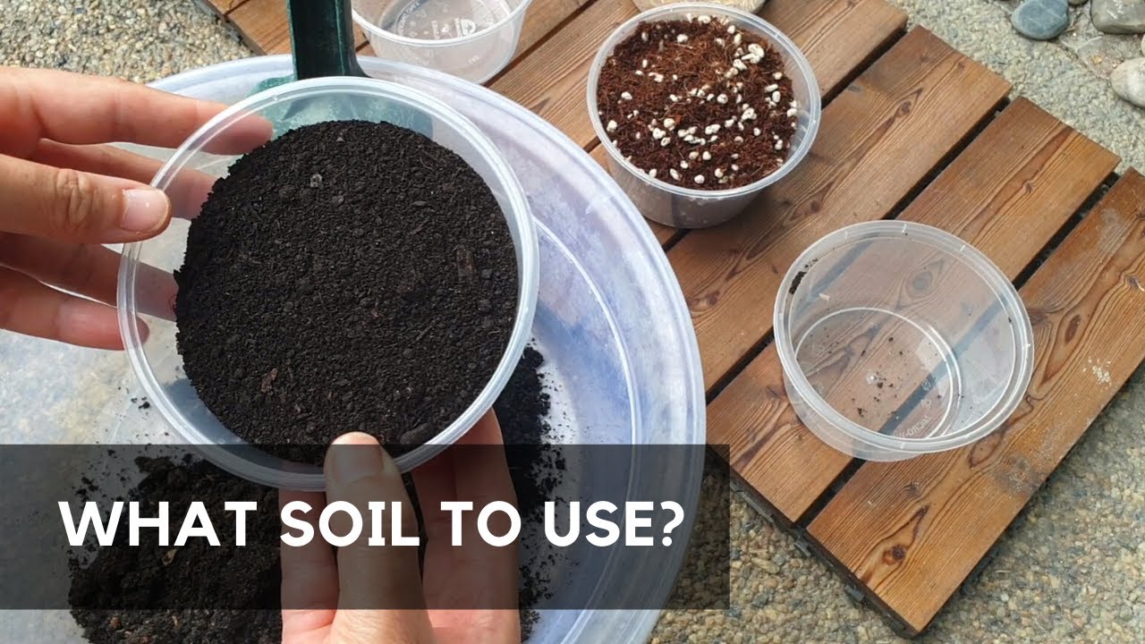 DIY POTTING MIX Soil For Container Garden YouTube
