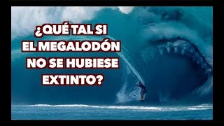 What if the Megalodon hadn't gone extinct?
