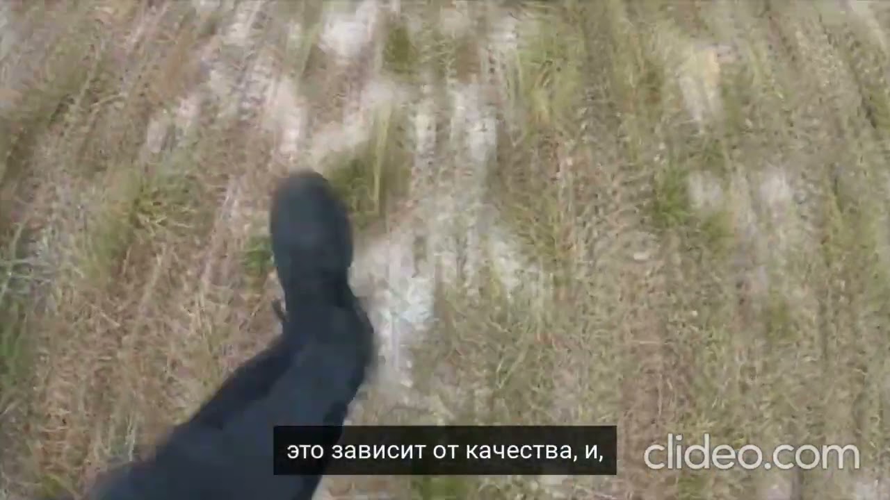 Ботинки Columbia Newton Ridge Plus II