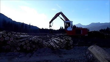 Madill 3800C With Waratah 624 processor