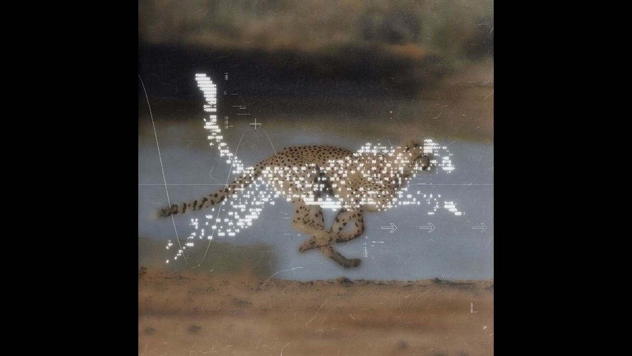 [FREE] Untiljapan Type Beat 2026 