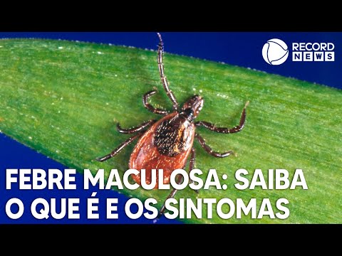 Vídeo: O que causa o fuligo séptico?