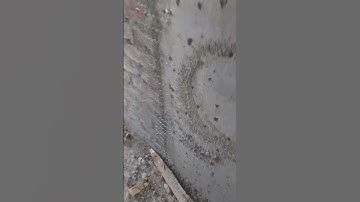 How to apply Chicken mesh @ column and Brickwork joints......🧱🧱......