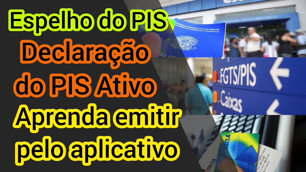 Aprenda Emitir O Espelho Do PIS E Declara o Do PIS Ativo Online Pelo Aprenda Emitir O Espelho Do PIS E Declara o Do PIS Ativo Online Pelo