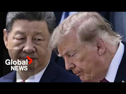 China, US have “capability and responsibility to develop and manage AI for good”: President Xi
